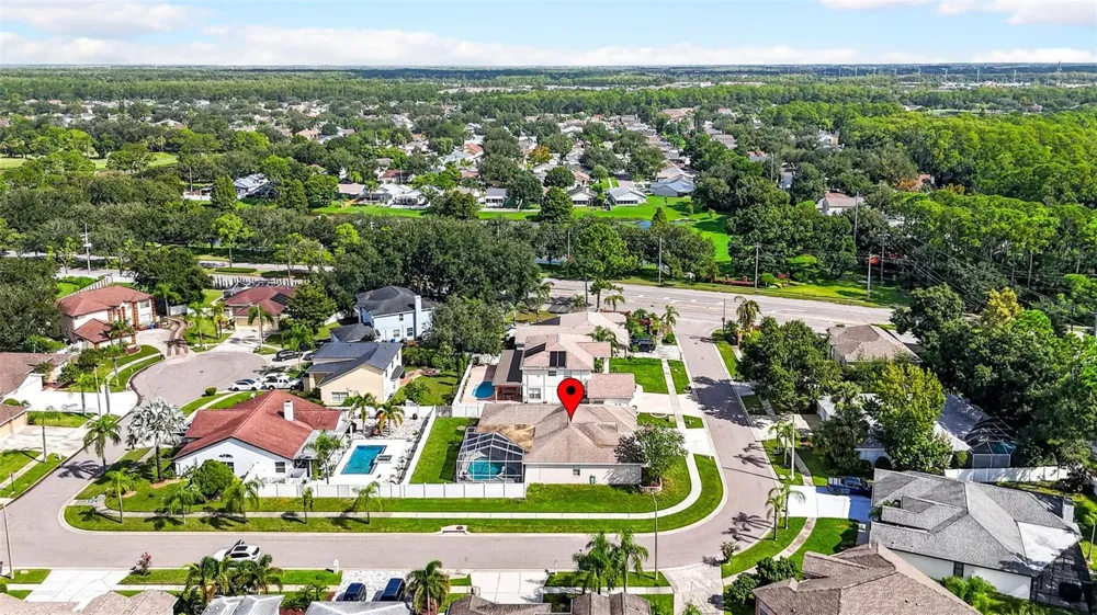 10007 VISTA POINTE DRIVE Tampa, FL 33635