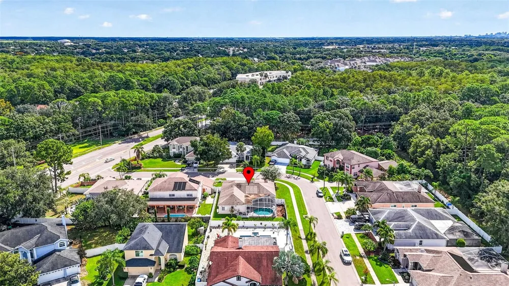 10007 VISTA POINTE DRIVE Tampa, FL 33635