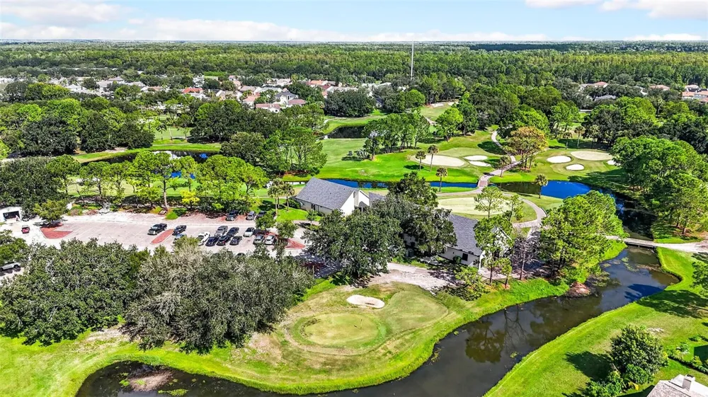 10007 VISTA POINTE DRIVE Tampa, FL 33635