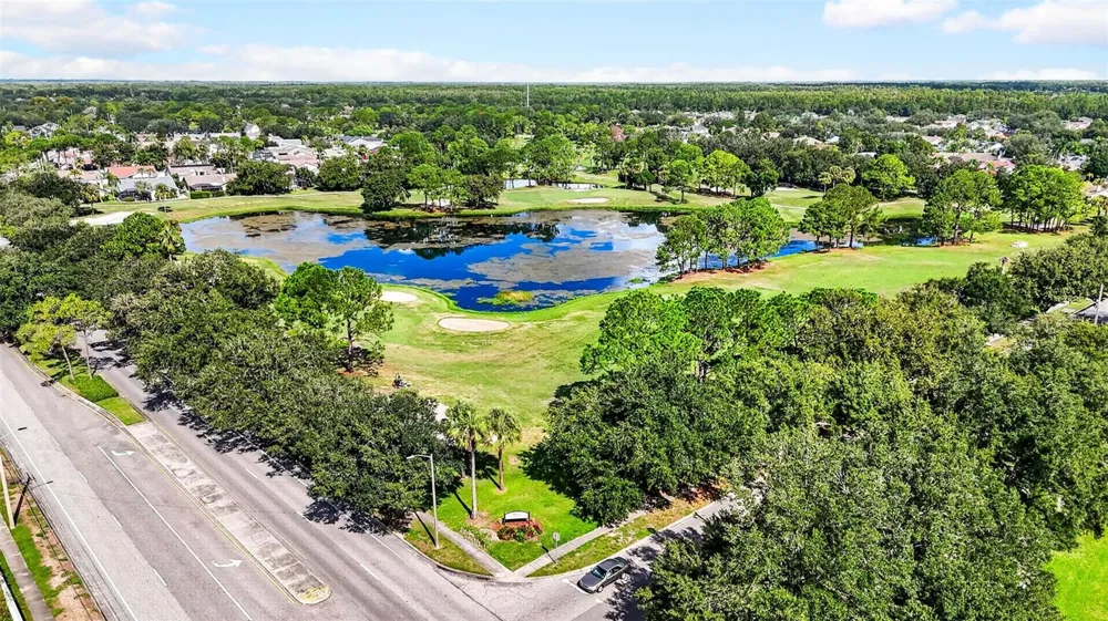 10007 VISTA POINTE DRIVE Tampa, FL 33635