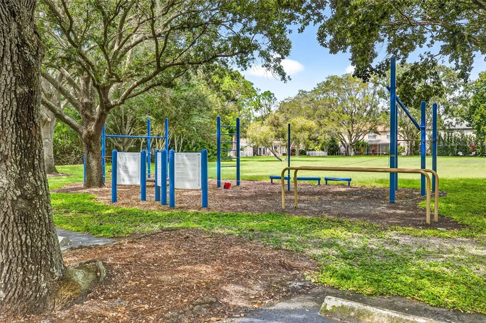10007 VISTA POINTE DRIVE Tampa, FL 33635