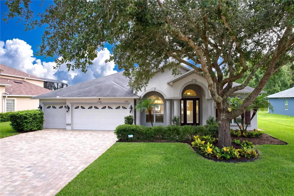 21422 DRAYCOTT WAY Land O Lakes, FL 34637
