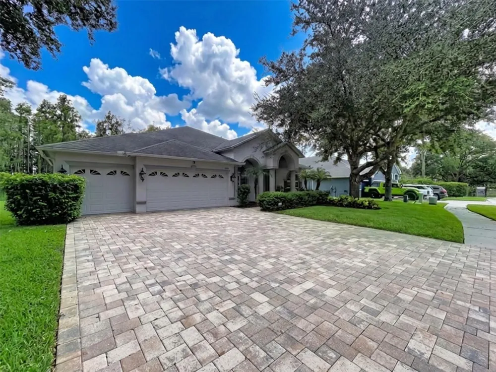 21422 DRAYCOTT WAY Land O Lakes, FL 34637