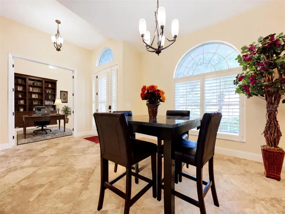 21422 DRAYCOTT WAY Land O Lakes, FL 34637