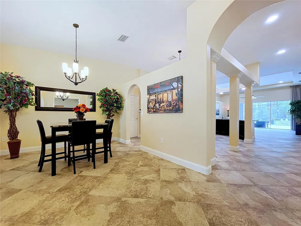 21422 DRAYCOTT WAY Land O Lakes, FL 34637