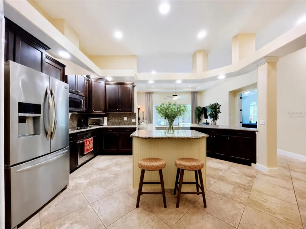21422 DRAYCOTT WAY Land O Lakes, FL 34637