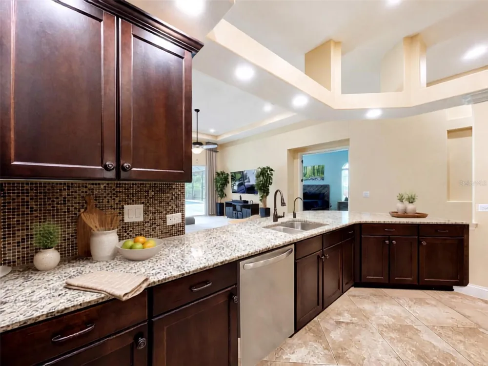 21422 DRAYCOTT WAY Land O Lakes, FL 34637