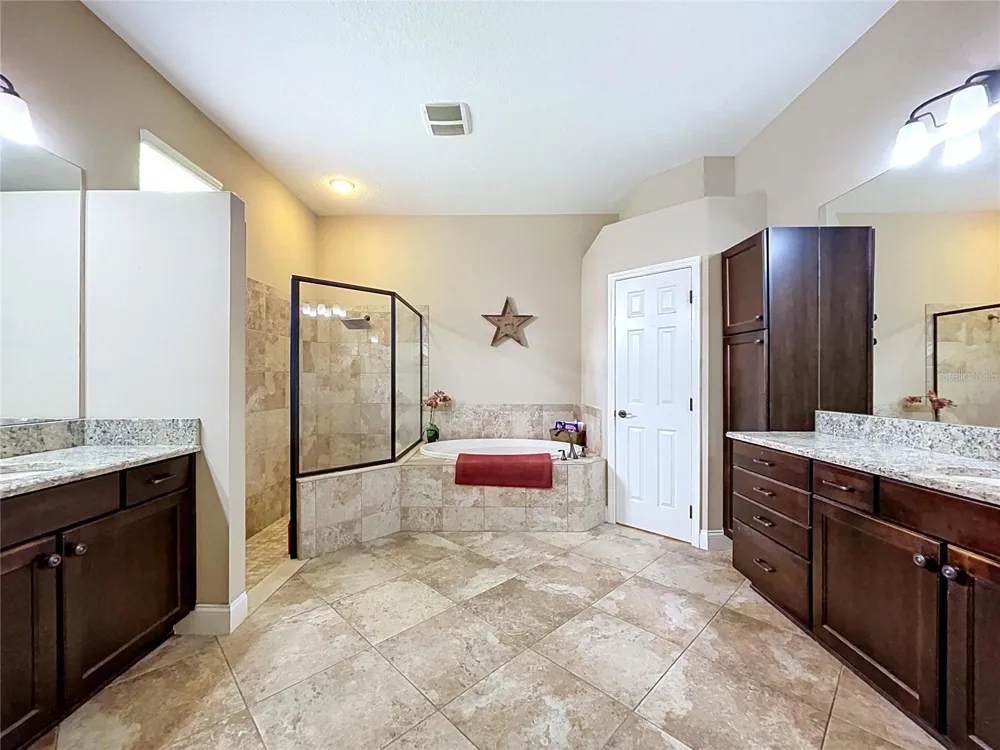 21422 DRAYCOTT WAY Land O Lakes, FL 34637