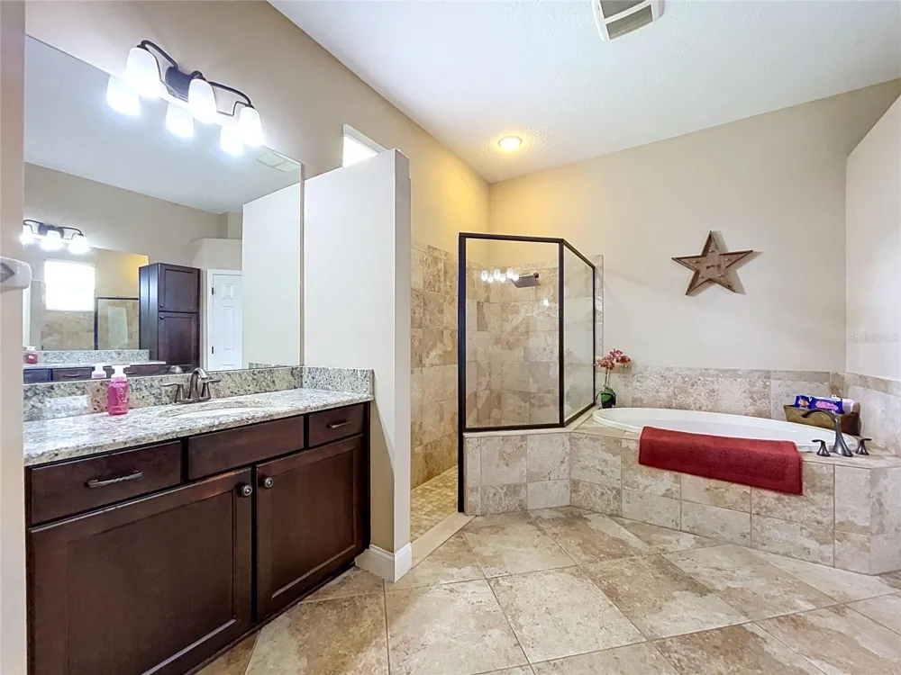 21422 DRAYCOTT WAY Land O Lakes, FL 34637