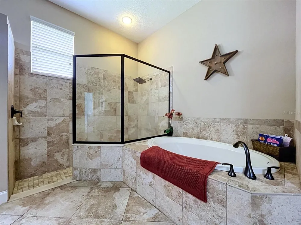 21422 DRAYCOTT WAY Land O Lakes, FL 34637