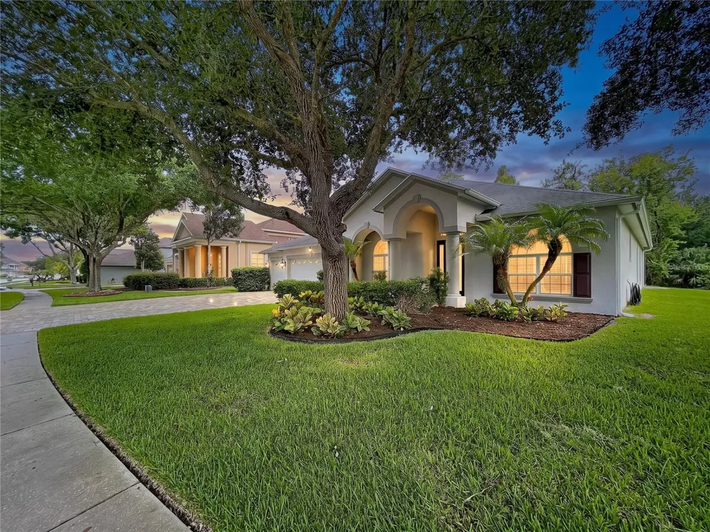 21422 DRAYCOTT WAY Land O Lakes, FL 34637