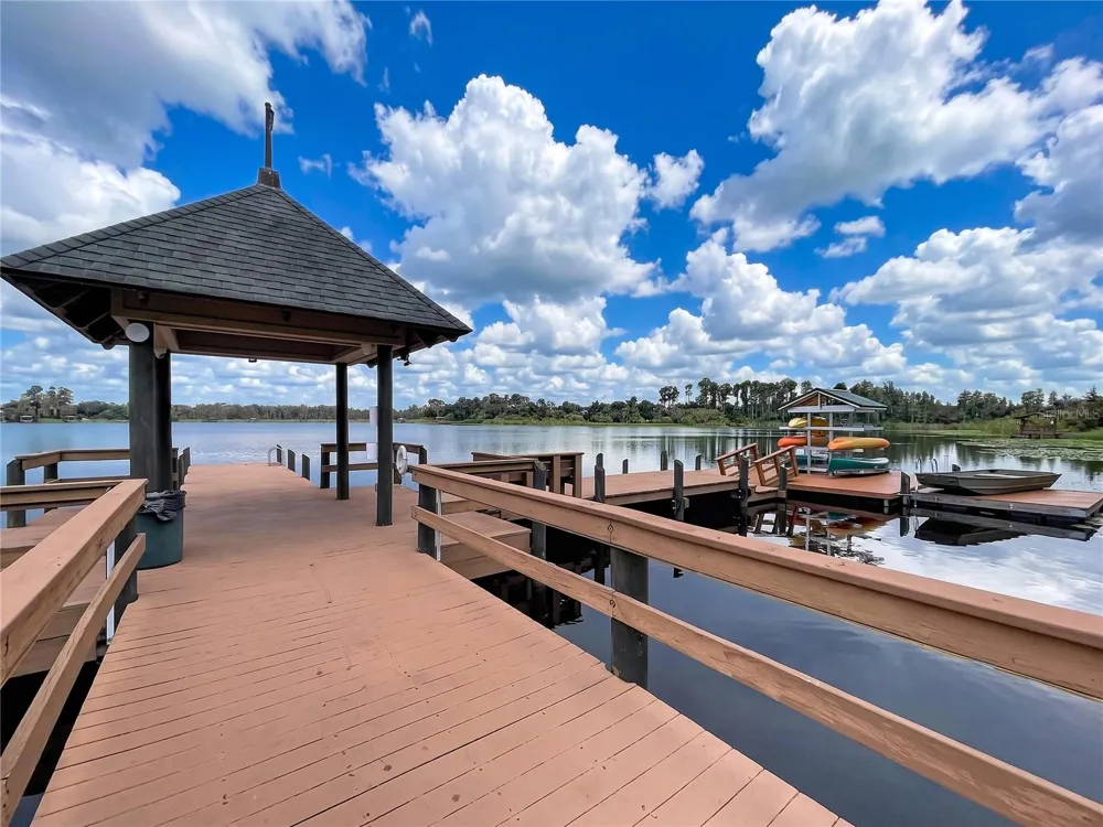 21422 DRAYCOTT WAY Land O Lakes, FL 34637