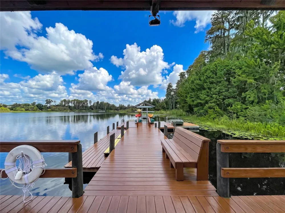 21422 DRAYCOTT WAY Land O Lakes, FL 34637