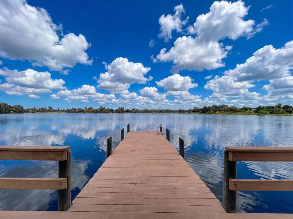 21422 DRAYCOTT WAY Land O Lakes, FL 34637