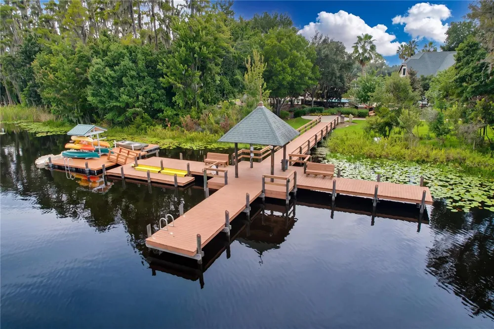 21422 DRAYCOTT WAY Land O Lakes, FL 34637