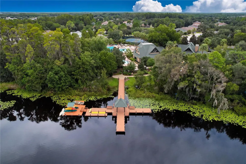 21422 DRAYCOTT WAY Land O Lakes, FL 34637
