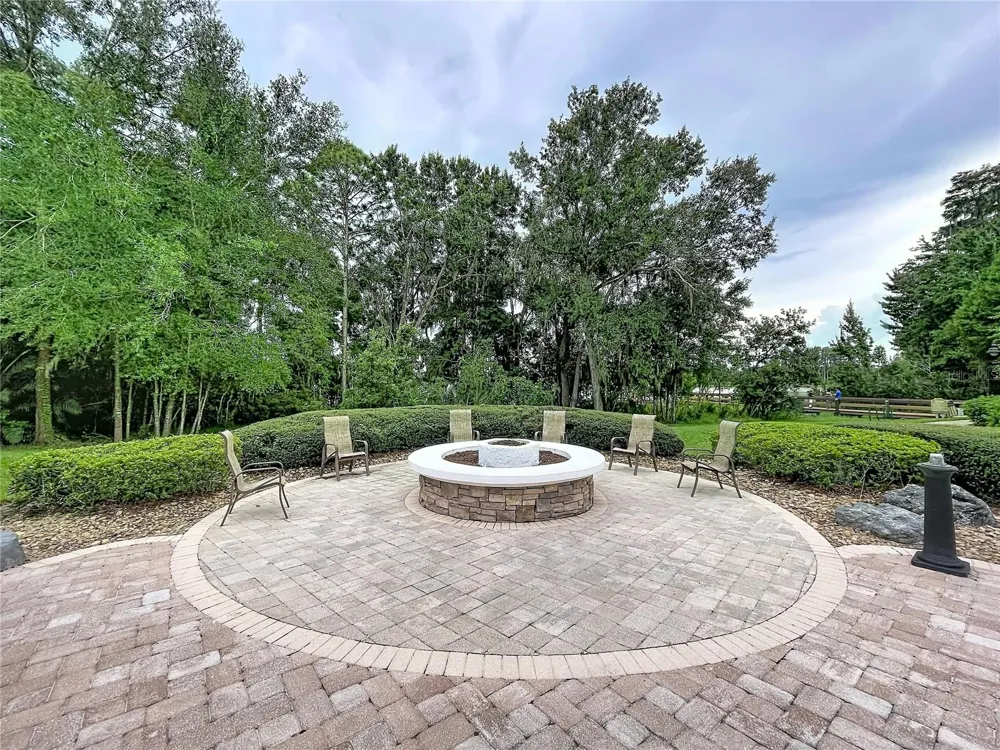 21422 DRAYCOTT WAY Land O Lakes, FL 34637