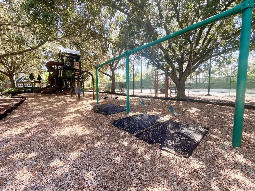 21422 DRAYCOTT WAY Land O Lakes, FL 34637
