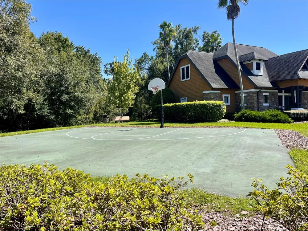 21422 DRAYCOTT WAY Land O Lakes, FL 34637