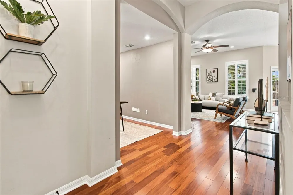 11417 CYPRESS PARK STREET Tampa, FL 33624
