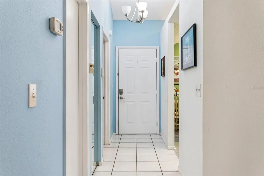 12602 CASTLE HILL DRIVE Tampa, FL 33624