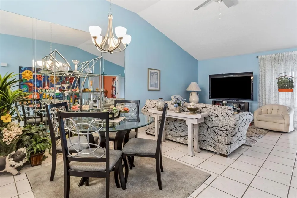 12602 CASTLE HILL DRIVE Tampa, FL 33624
