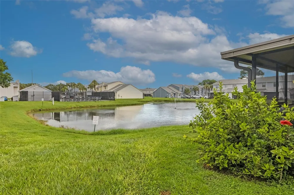 12602 CASTLE HILL DRIVE Tampa, FL 33624
