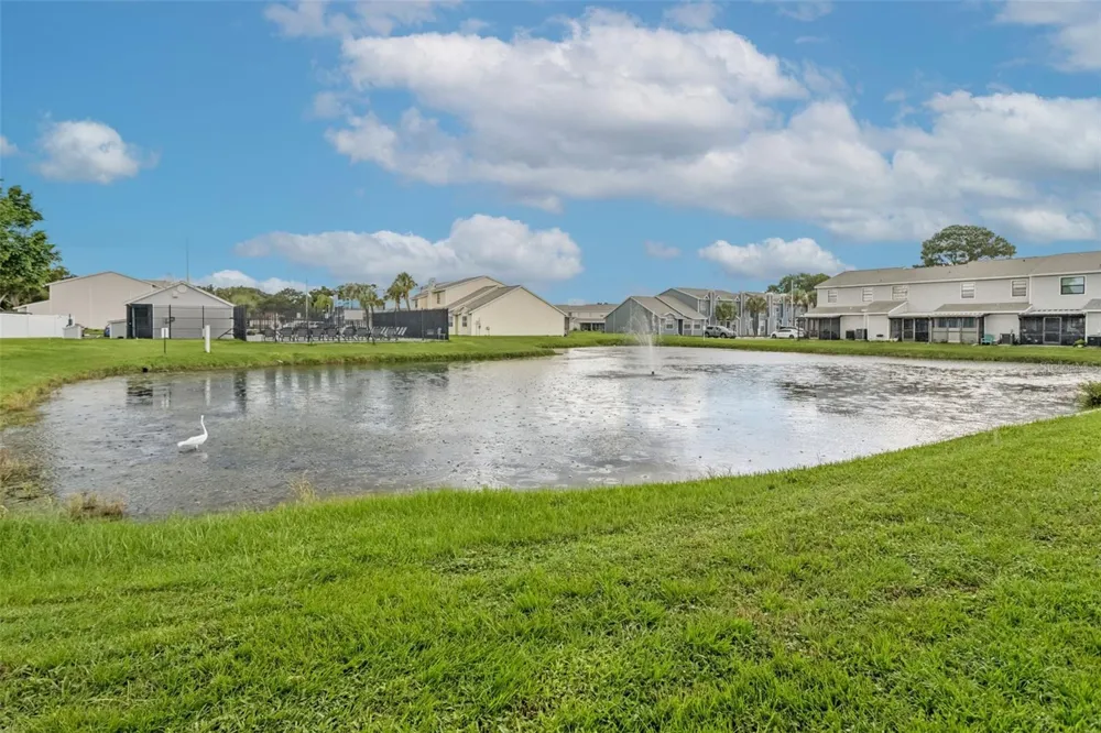12602 CASTLE HILL DRIVE Tampa, FL 33624