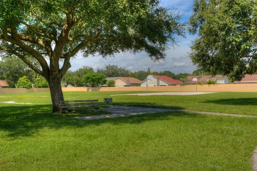 12602 CASTLE HILL DRIVE Tampa, FL 33624
