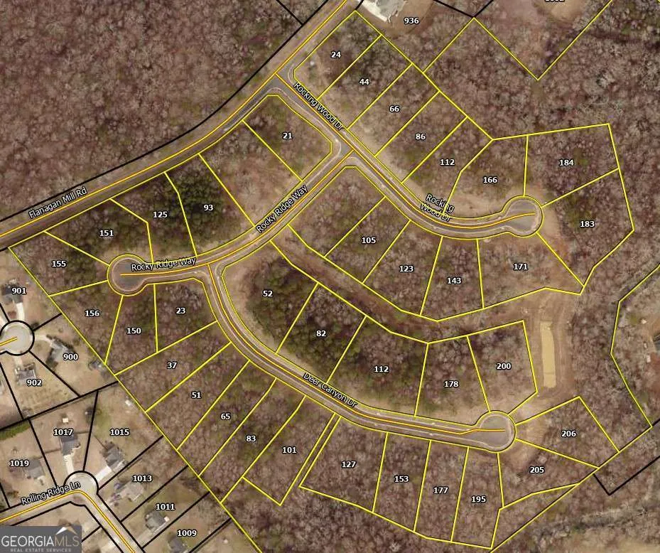 205 Deer Canyon DR Auburn, GA 30011