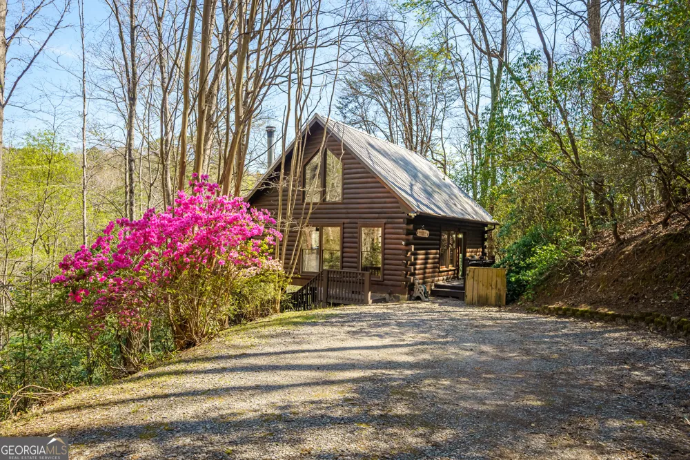 942 Granny Branch DR Blue Ridge, GA 30513