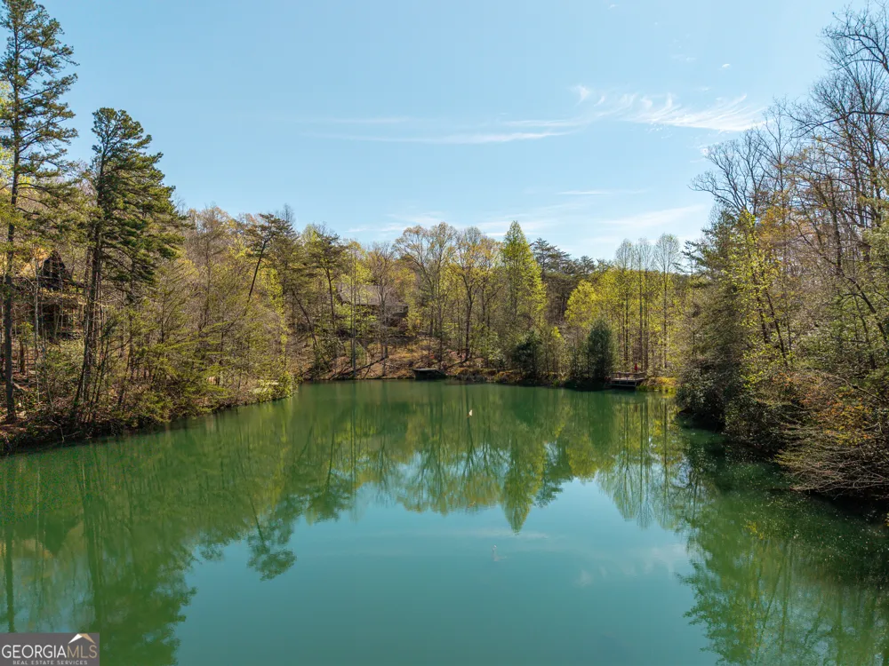 942 Granny Branch DR Blue Ridge, GA 30513