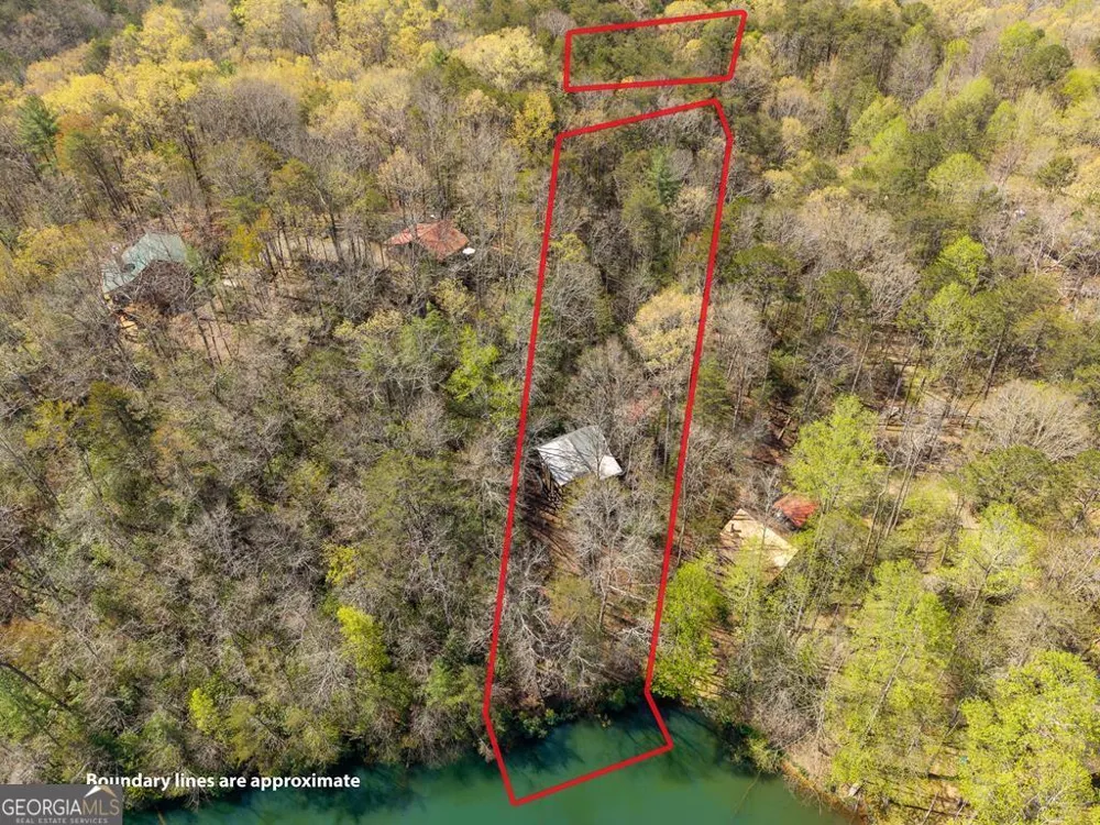 942 Granny Branch DR Blue Ridge, GA 30513