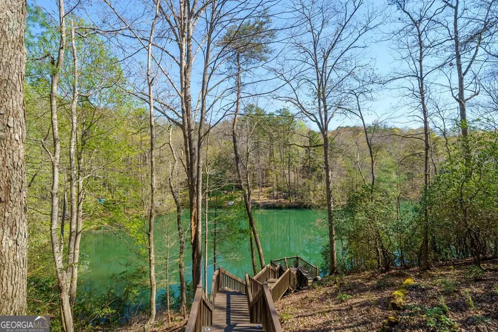 942 Granny Branch DR Blue Ridge, GA 30513