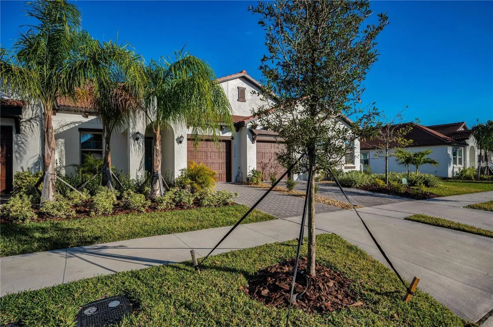 17432 HOLLY WELL AVENUE Wimauma, FL 33598