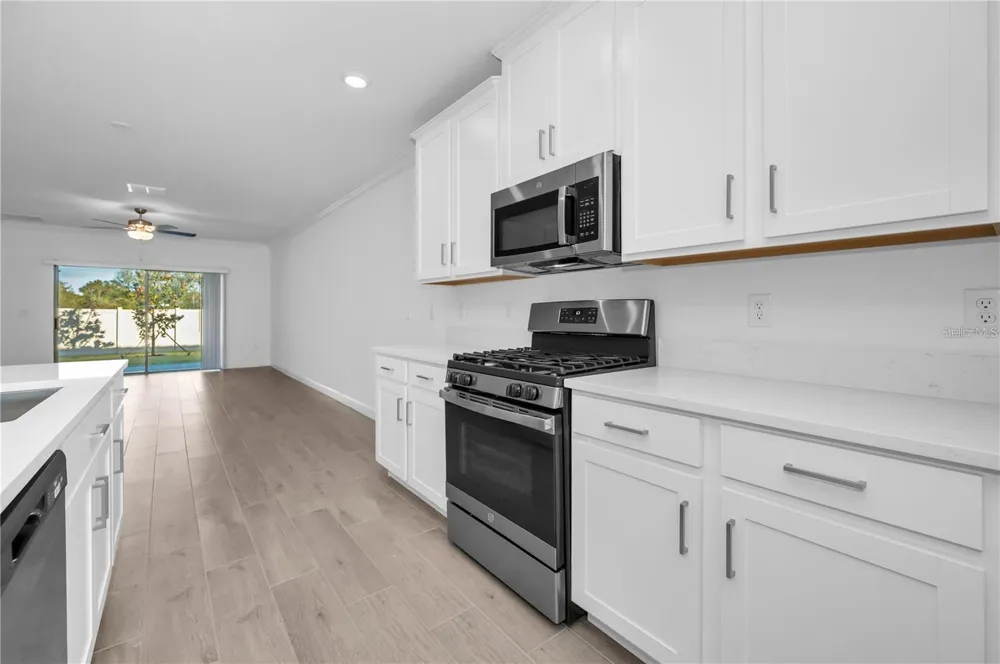 17432 HOLLY WELL AVENUE Wimauma, FL 33598