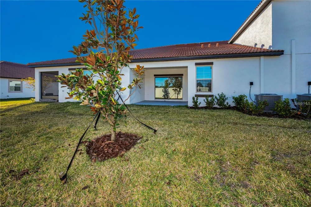 17432 HOLLY WELL AVENUE Wimauma, FL 33598