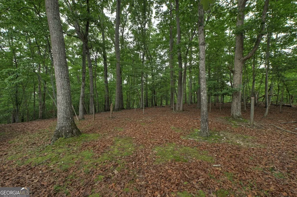 1076 Riverview DR Ellijay, GA 30540