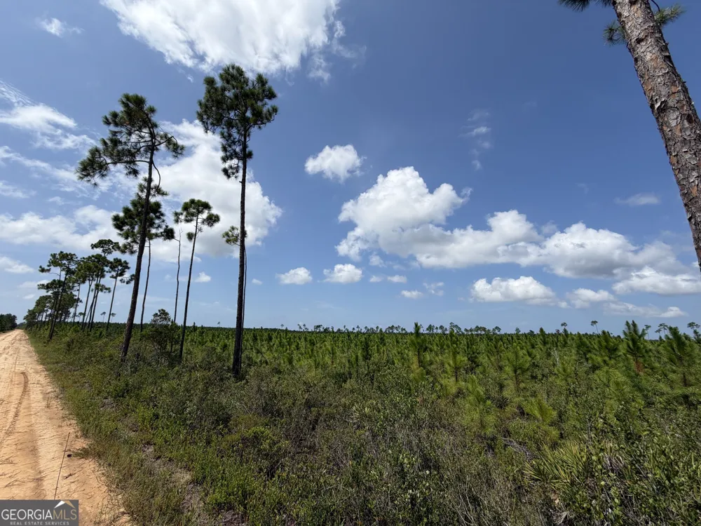 10.6 ACRES Allanton RD Panama City, FL 32404