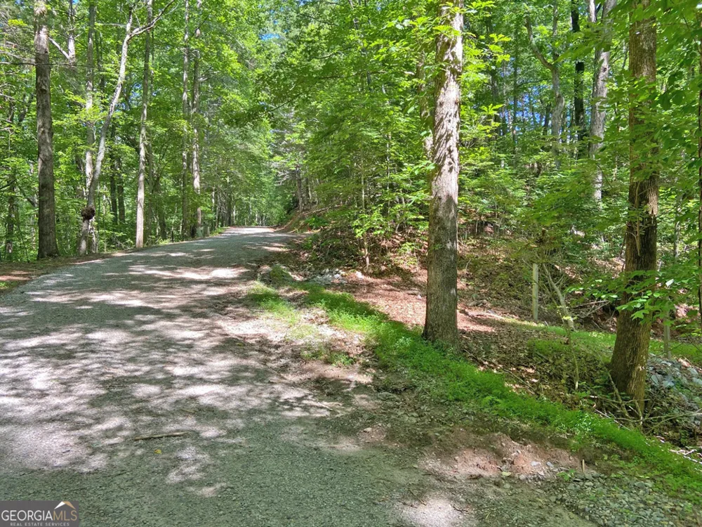 2.4AC Old River RD Dahlonega, GA 30533