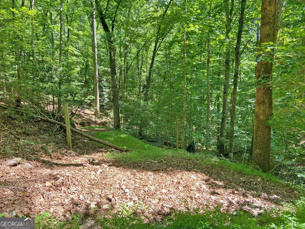 2.4AC Old River RD Dahlonega, GA 30533