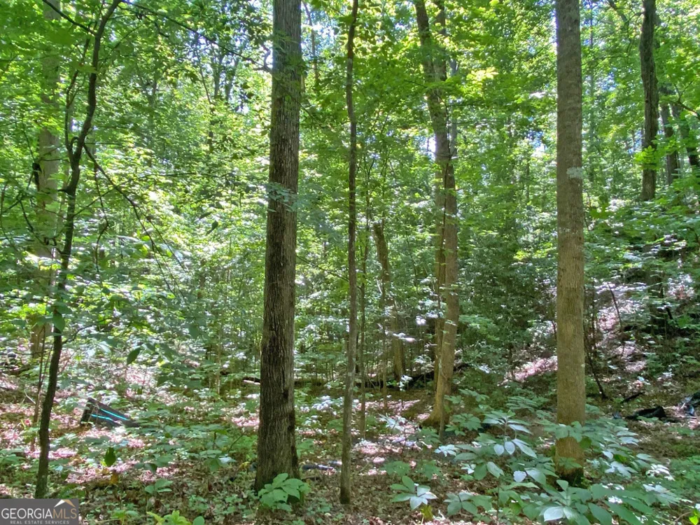 2.4AC Old River RD Dahlonega, GA 30533