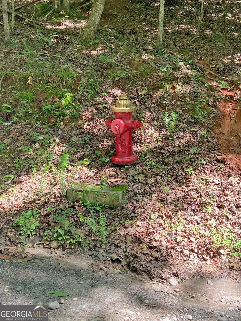 2.4AC Old River RD Dahlonega, GA 30533