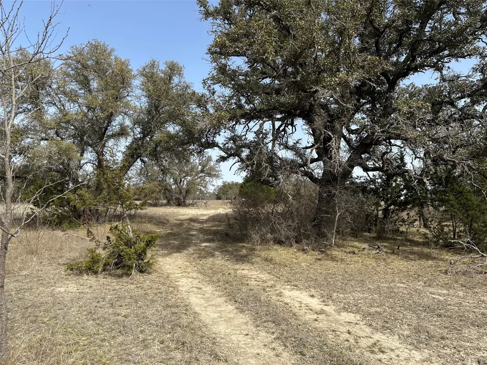 360 County Road 199 Mullin, TX 76864