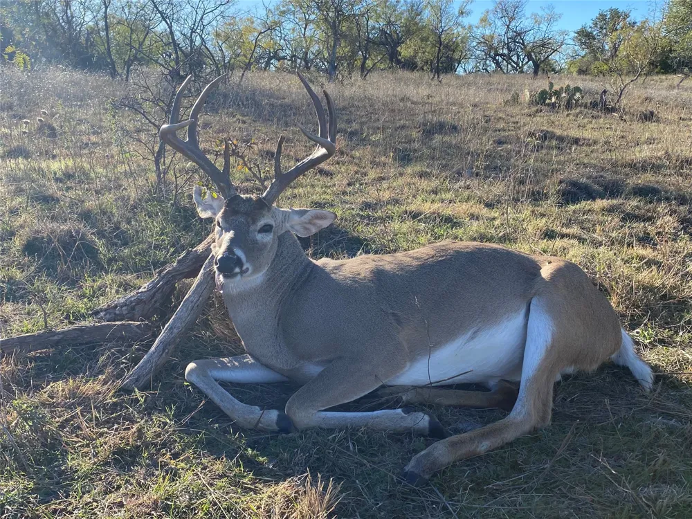 360 County Road 199 Mullin, TX 76864
