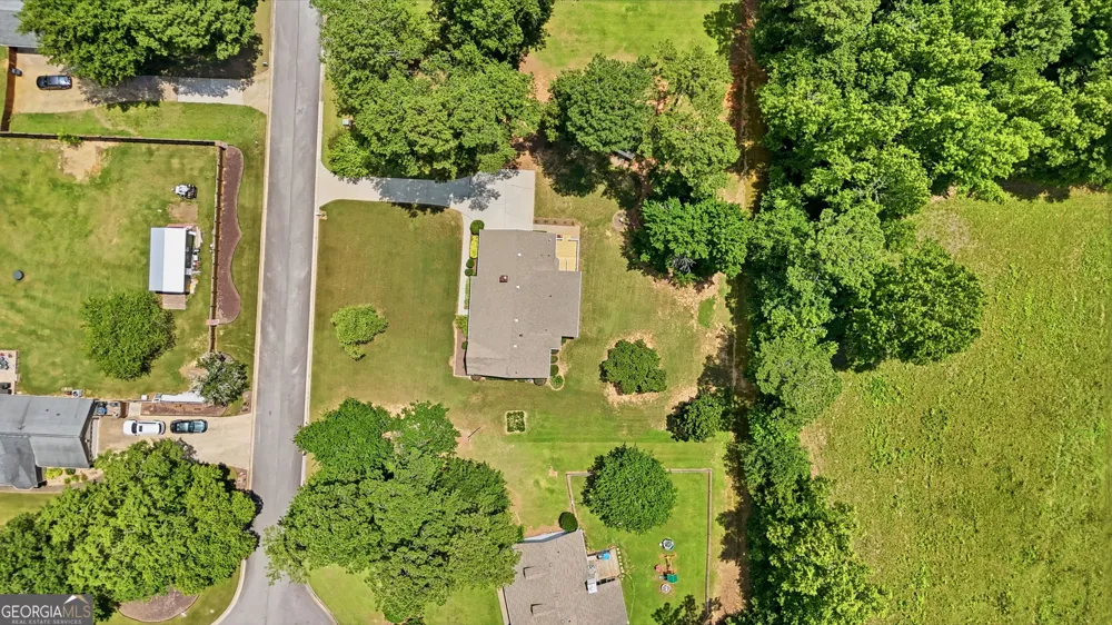 230 Pine Tree LN McDonough, GA 30252