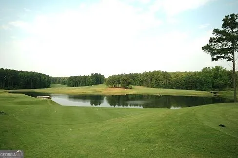 803 Rocky Ridge CT Canton, GA 30114