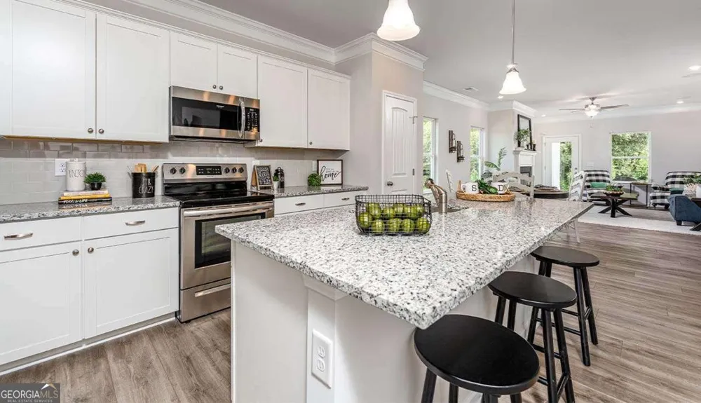 1485 Trellis CT Hampton, GA 30228