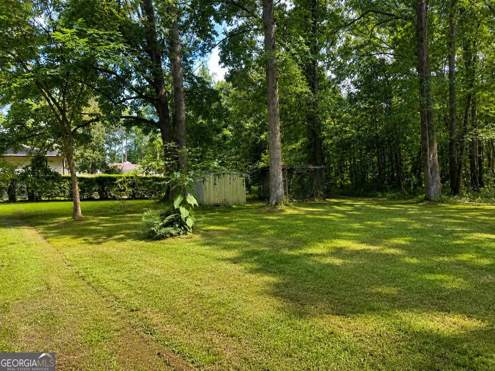 172 Raymond Carson ST Newnan, GA 30265