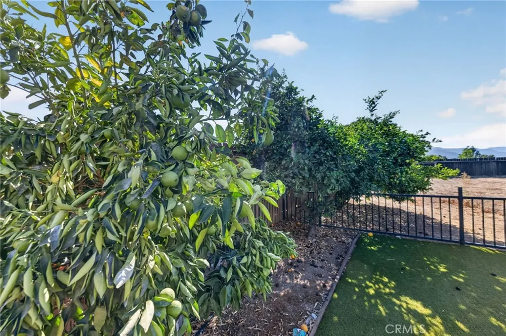 34655 Almond Wildomar, CA 92595